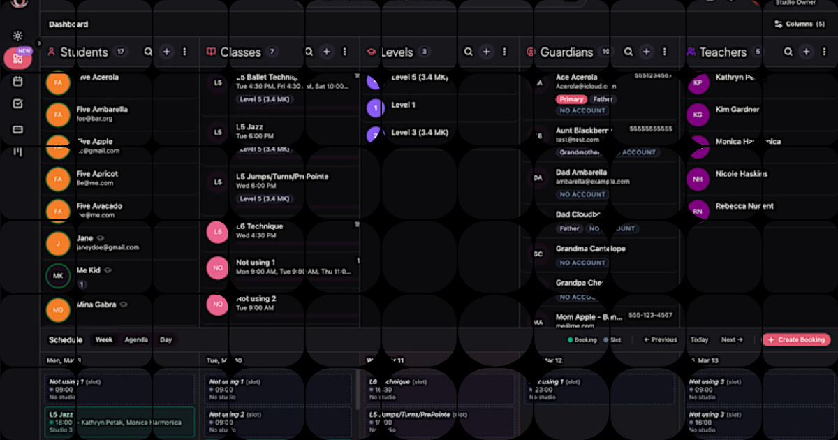 Dance Studio Management App: Affordable Custom-Backoffice Solutions