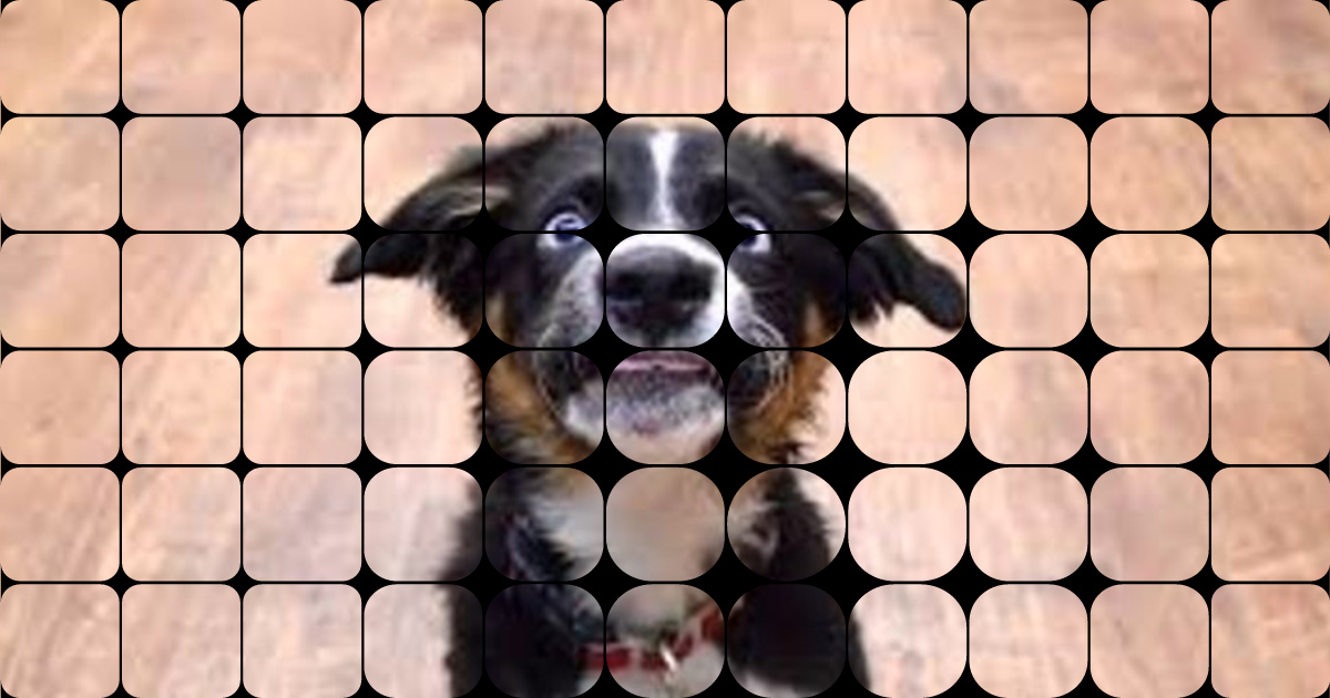 Dog Breed Classification System 🔗 GitHub Repository (https://github.com ...