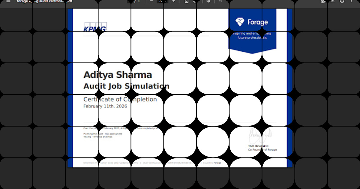 Expert in Risk Assessment & Audit Simulations for Firms