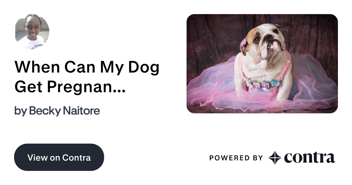 When Can My Dog Get Pregnant? A Quick Guide to Your Pooch’s Fer… by Becky Naitore