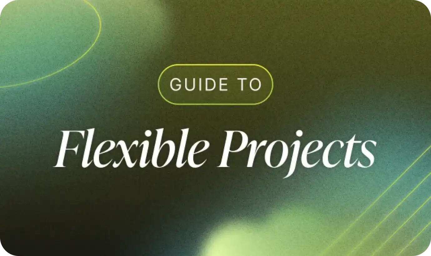 Guide to Flexible Projects